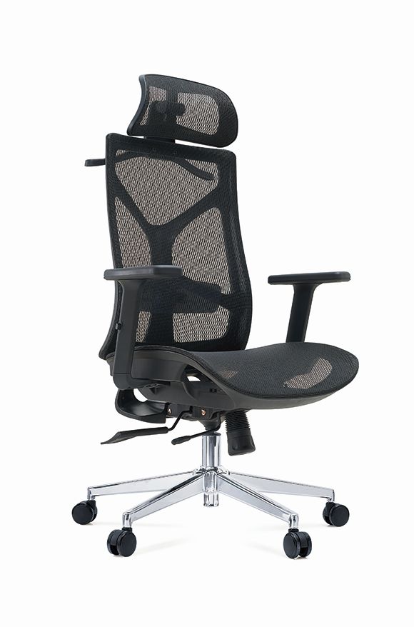 Beste ergonomische stoel (1)