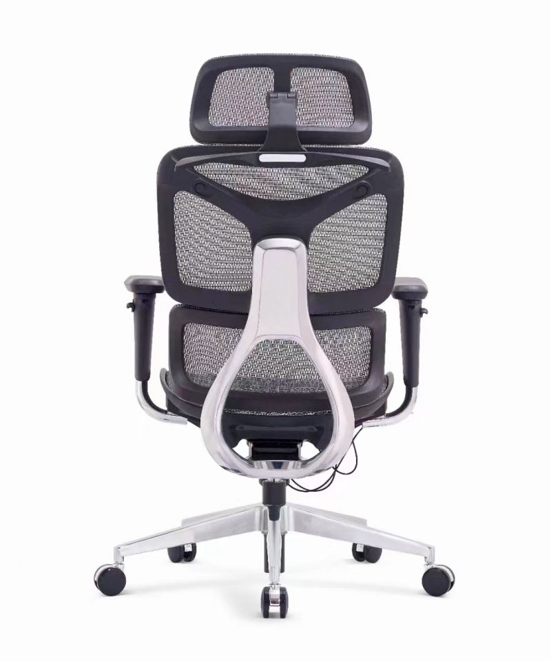 Herman Miller Ergonomic Office Chair (2)
