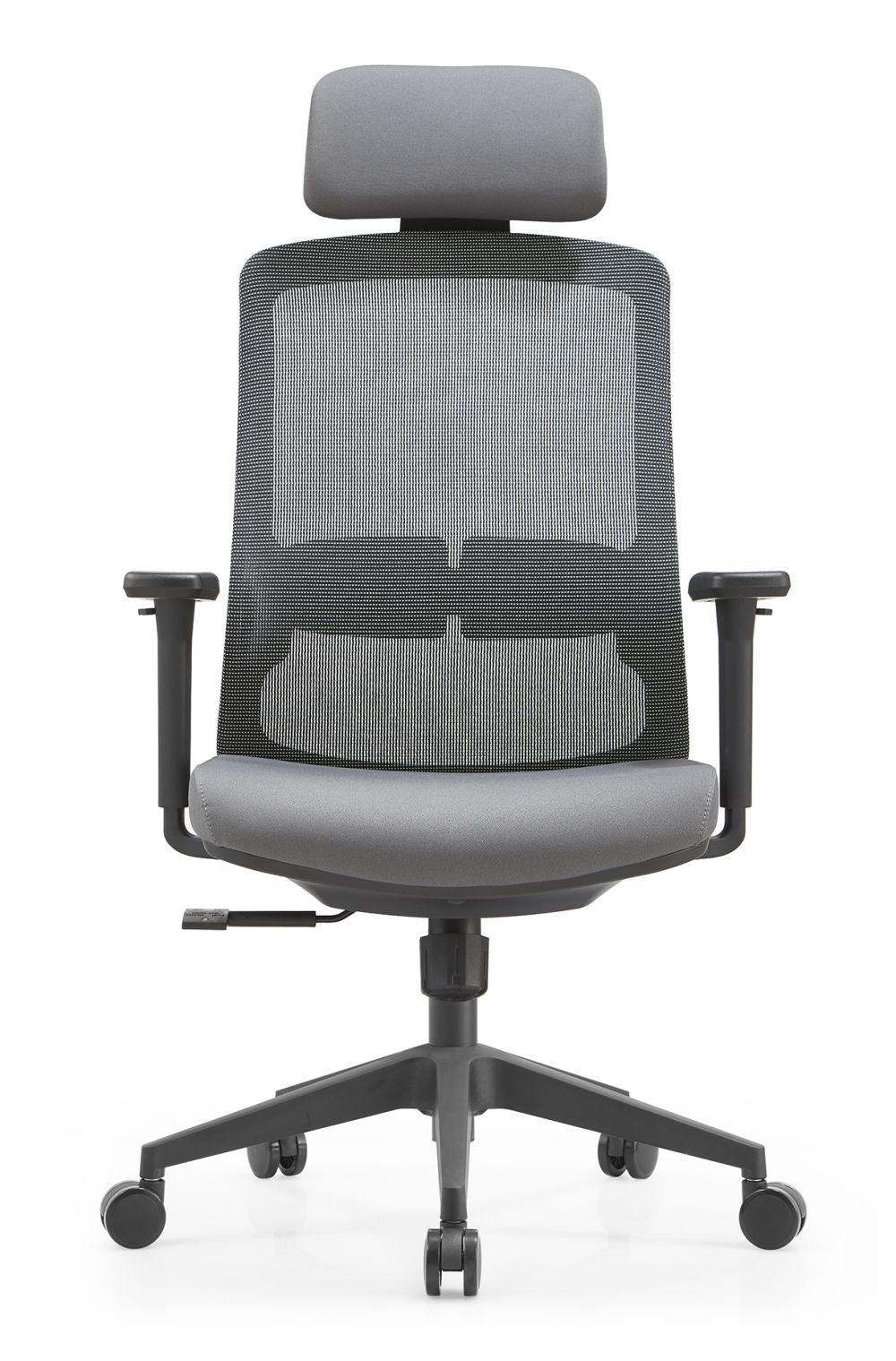 Home Ergonomic Office Chair (1)
