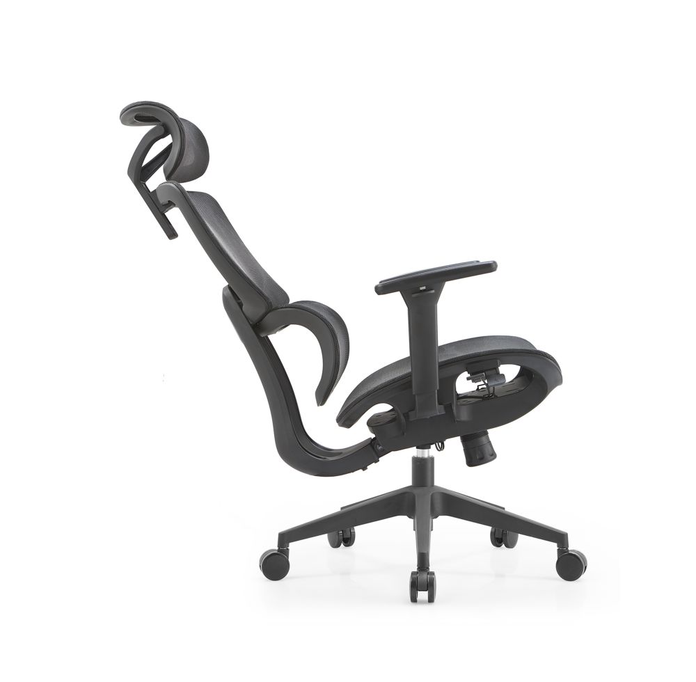 Best Ergonomic Chair (2)