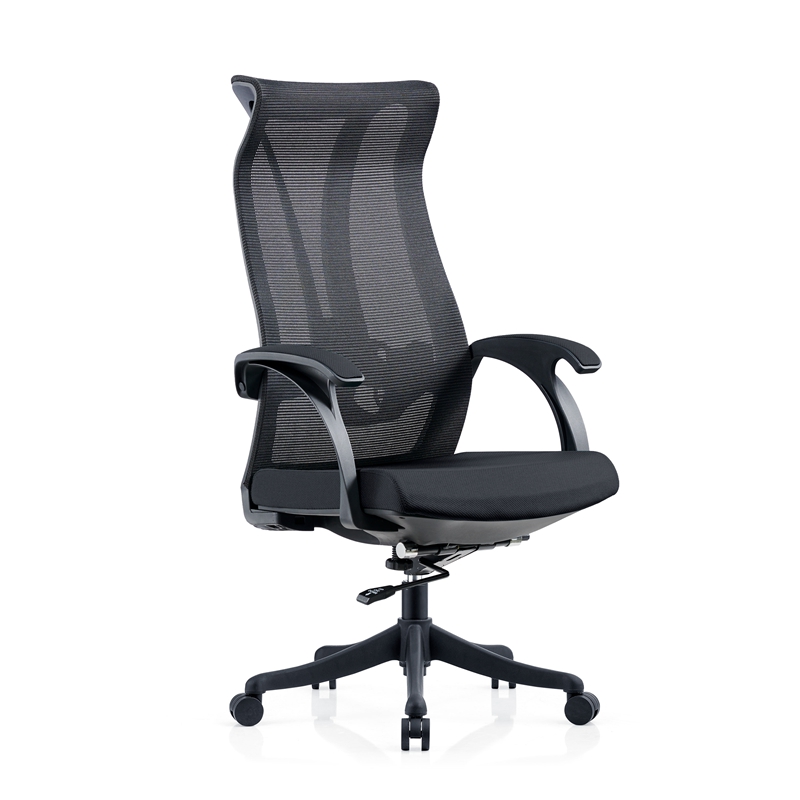 Ergonomic Executive Office Chair  (2)