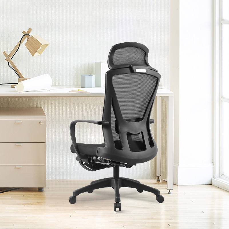 Ergonomic Executive Office Sachigaro