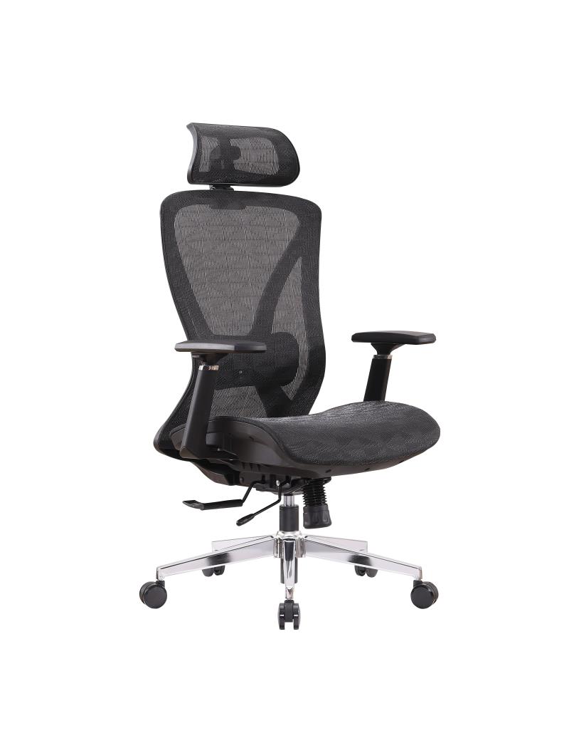 Ergonomic Office Chair 1