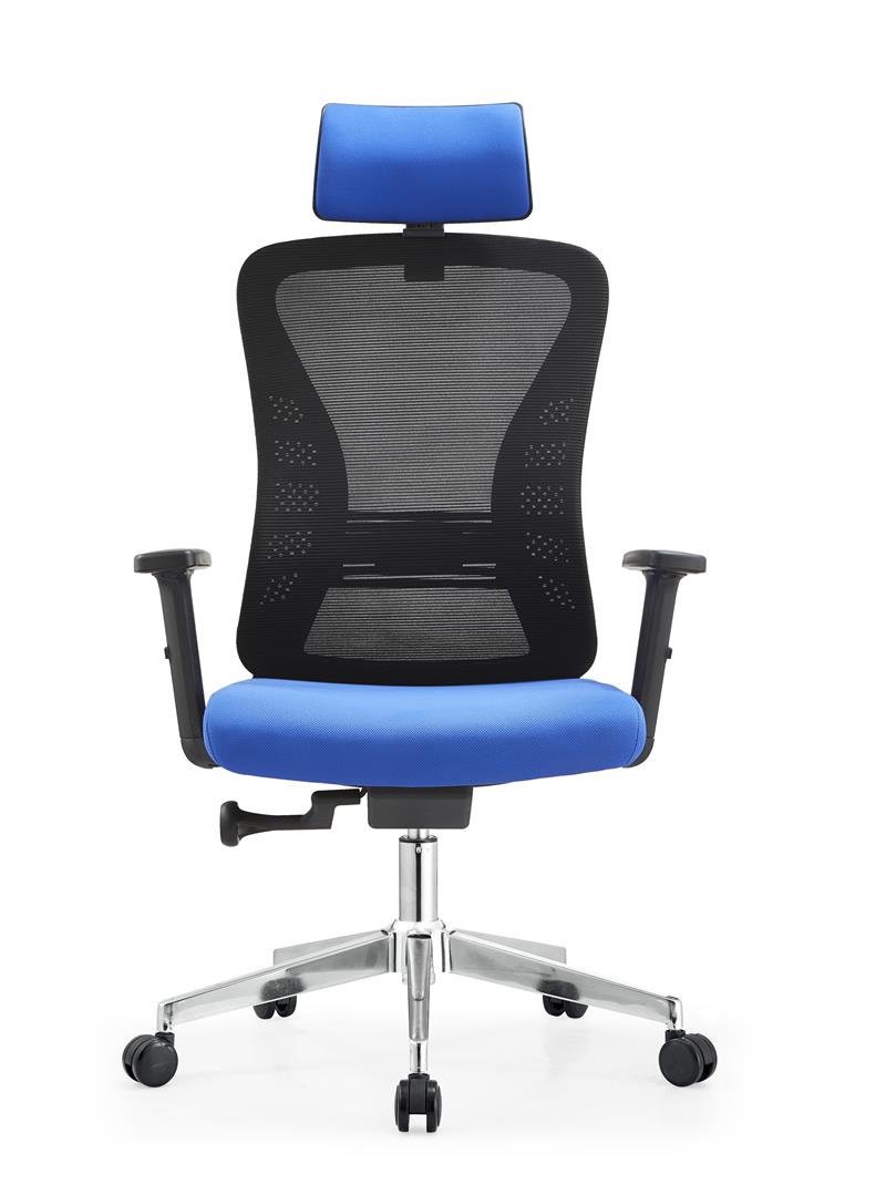 Ergonomic Office Chair On Sale(2)