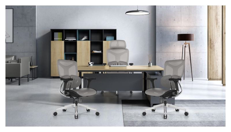 Herman Miller Ergonomic Chair