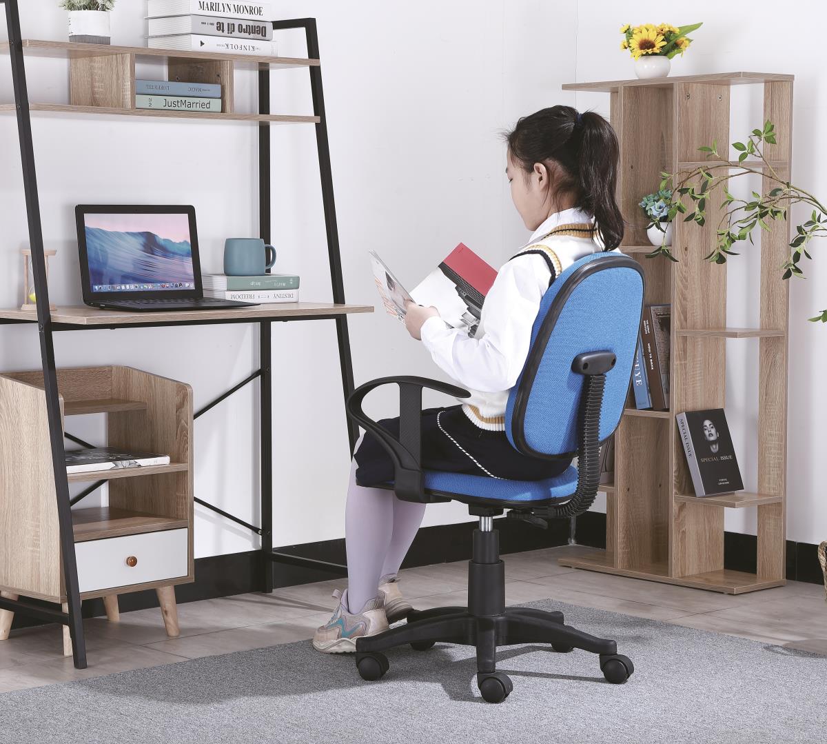 Home Office Task Chair