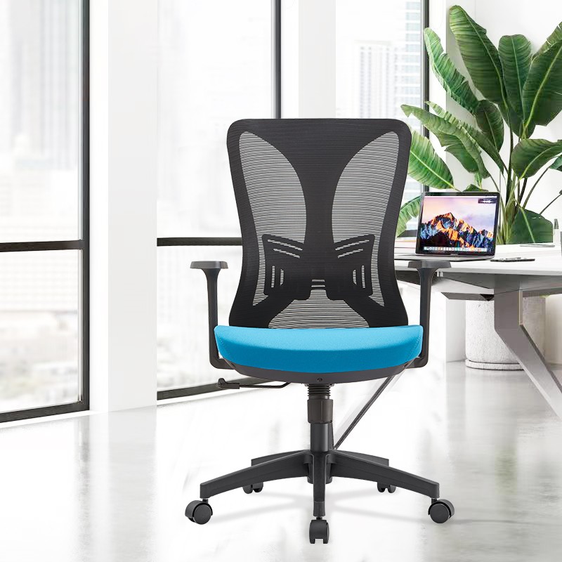 Lumbar Support Office Alaga